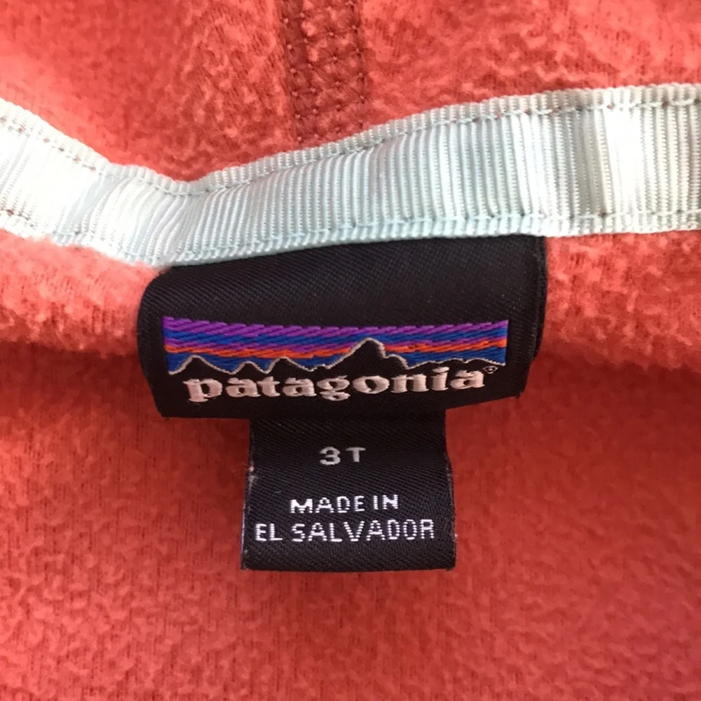 Patagonia Fleece Jacket (size 3T)